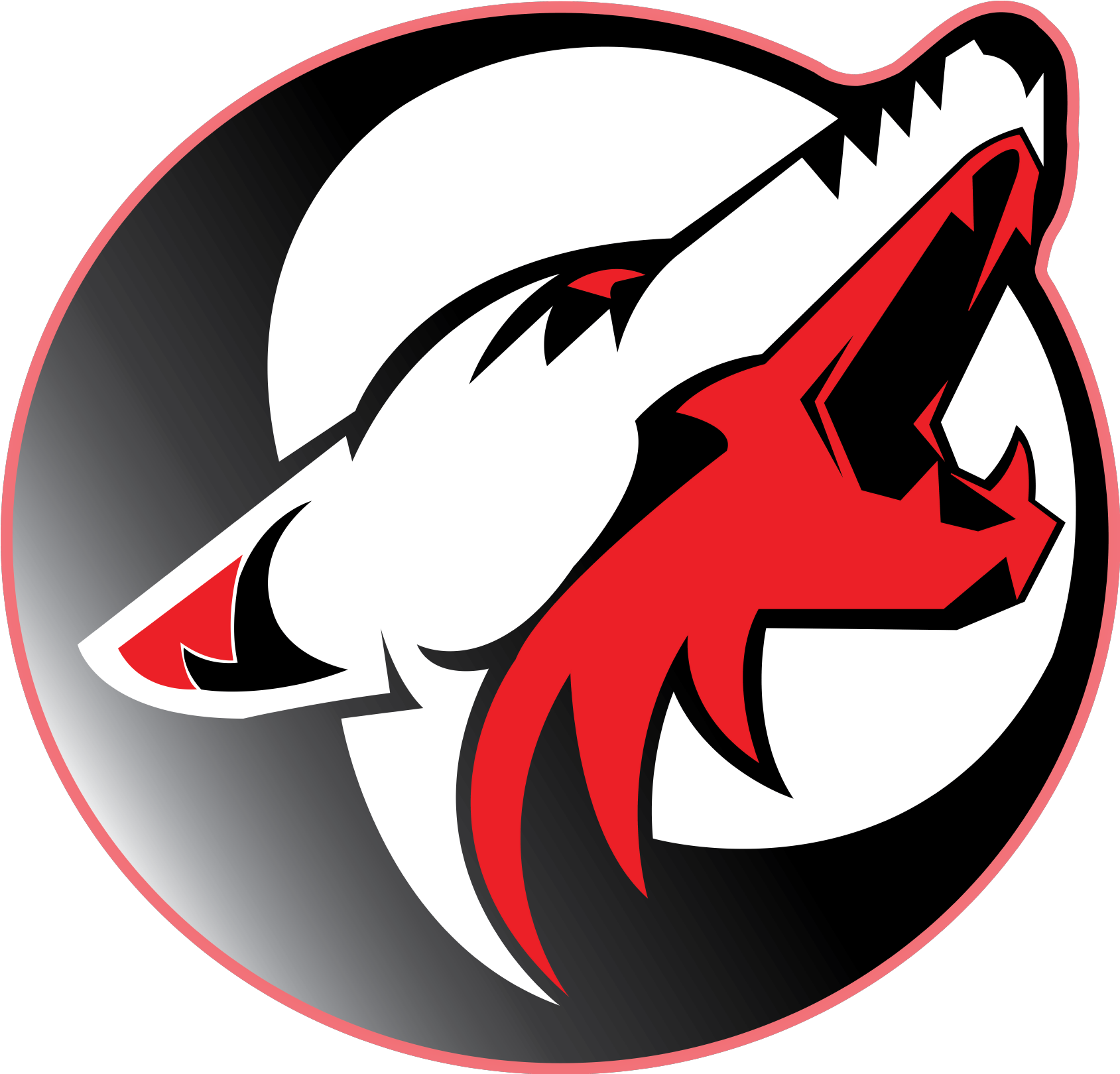 MY LOGO